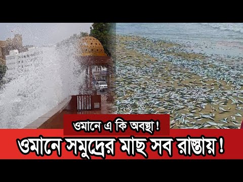 ভিডিও: পেশাগত শীট НС44: মাত্রা এবং ওজন, ভারবহন ক্ষমতা এবং অন্যান্য প্রযুক্তিগত বৈশিষ্ট্য, পেশাদার শীট С44 থেকে পার্থক্য