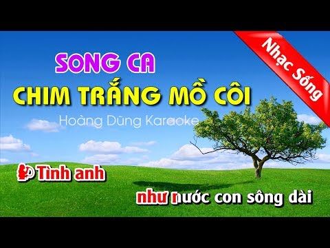 Chim Trắng Mồ Côi Karaoke Nhạc Sống Song Ca