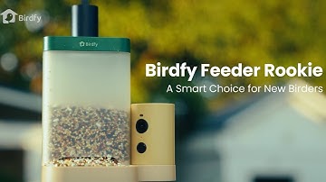 Birdfy Feeder Rookie | The Ultimate AI-Powered Beginner-Friendly Smart Feeder