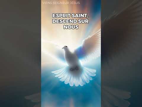 Prière Esprit Saint Descend Sur Nous Et Fais Briller Ta Lumière Shorts