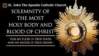 Is the Eucharist Enough? Finding True Nourishment in Christ