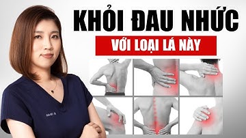 1 Loại Lá Giúp Khỏi Đau Nhức Xương Khớp | Bác Sĩ Vân Anh
