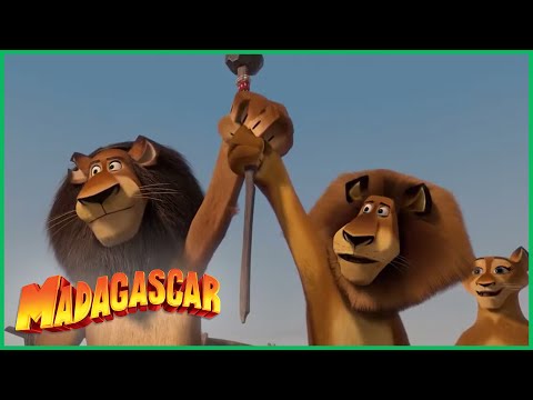 DreamWorks Madagascar em Português | Alex salva o dia | Madagascar  Escape 2 Africa Filme
