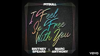 Watch Pitbull I Feel So Free With You video