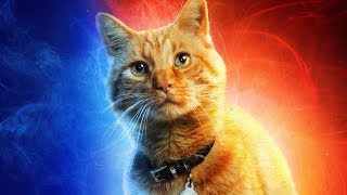 Who is Goose the Cat in Captain Marvel Movie?