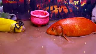 Cartoon crocodile, pink snake and colorful eel | Colorful baby fish | Stop Motion Funny Animation