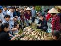 Unbelievable Harvest! Trieu Duc Sells Wild Bamboo Shoots at the Market