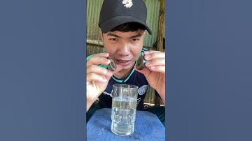 Thử Dùng 2 Nam Châm Làm Nước Xoáy Chuyển #shorts