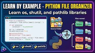 Famous Learn By Example: Python File Organizer - Learn Windows Automation using os, shutil, and pathlib Wealth