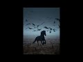 (free) Kanye West x Experimental Type Beat | 2026 "nitetime"