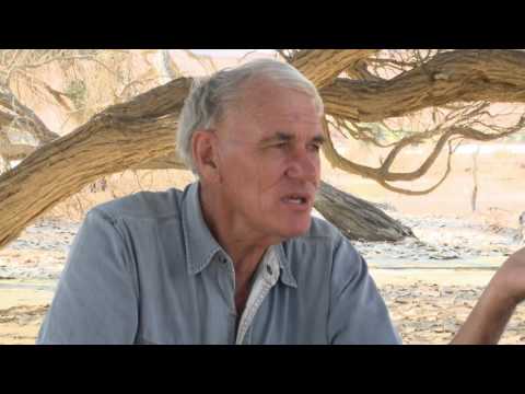 Video: Vse, Kar Morate Vedeti O Obisku Sossusvlei V Namibiji