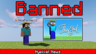 The End of RiceFarmer11.. (Quitting Hypixel)
