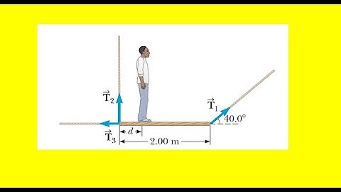 A uniform plank of length 2.00 m