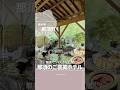 【栃木県 那須町】 大満足間違いなし！豪華ビュッフェにお部屋から大自然を眺められる！
