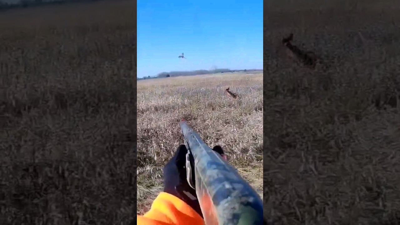 TOUGHEST BIRD OF THE SEASON 