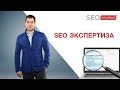 SEO Экспертиза.Вебинар по разбору сайтов