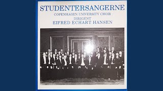 Video thumbnail of "Copenhagen University Choir - Natten er så stille"