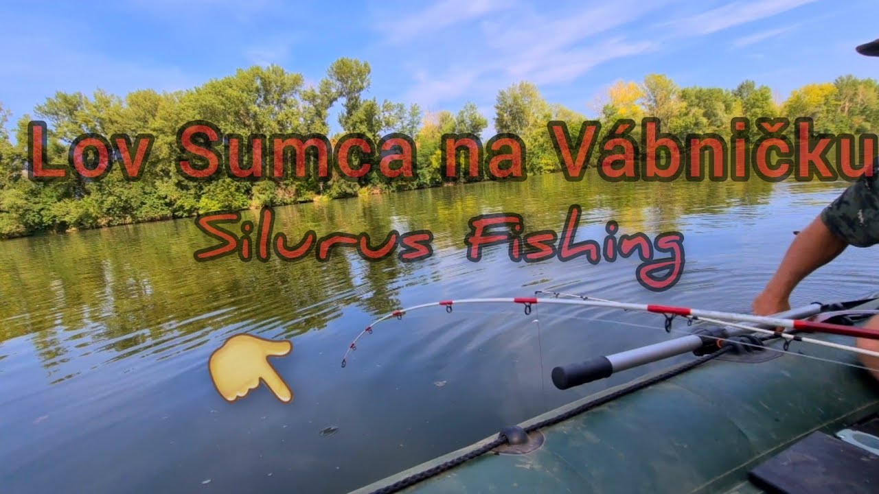 Lov Sumca na Vábničku/Vábničky JP/ Cat Fishing/Silurus Fishing