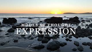 Ch. 2: &quot;Expression&quot; - &#39;Modes of Thought&#39; by Alfred North Whitehead