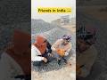 Every dost haramjada 😂||#shortsviral #youtubeshorts #funny #bts #comedy