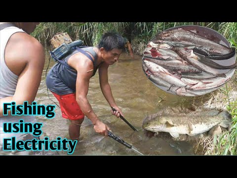 Fishing using electricity/ Buhay sa probensya manghuli ng isda sa sapa pang ulam