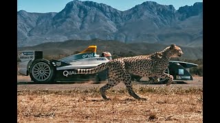 Formula E Car vs Cheetah