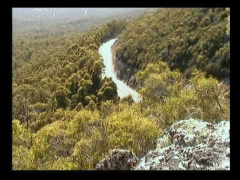 Rally Tasmania 2009 SS13 Classics