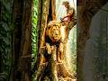 “Trapped Lion… A Race Against Time to Save Him 🦁”