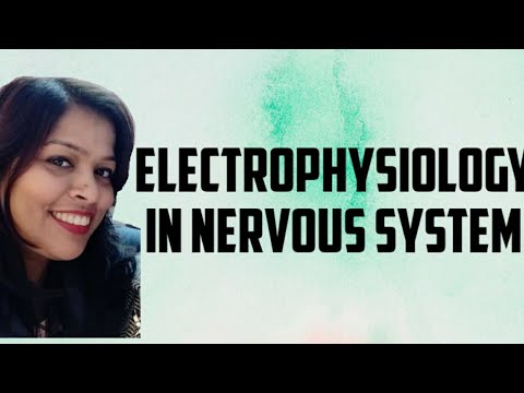 Electrophysiology of nervous system