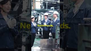 Production line operator with experience, Netherlands, EU citizenship