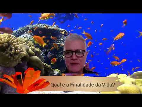 Qual é a