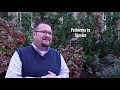 Light Your Path: The UD Department of Psychology