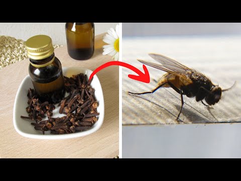 Video: Paano gamitin ang vanillin mula sa midges