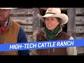 High-Tech Cattle Ranch