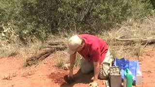 Pitfall Trapping