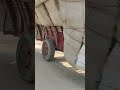 Tractor 🚜 swaraj Power trac# amazing video #excavator #jcb #viral #bhojpuri song#trolly#loading