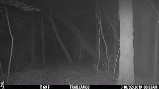 Strange Sound on Trail Camera
