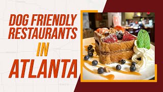 Famous Top 10 Best Dog Friendly Restaurants & Patios In Atlanta Net Worth