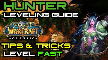 Hunter Leveling Guide -  Tips & Tricks for Leveling a Hunter in Vanilla