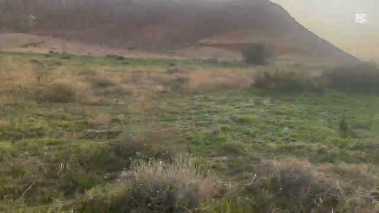 رحله بريه ١٤٤٧/٨/٢٠