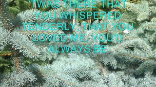 LILLI MARLENE- WORLD WAR 2 SONG - WORDS&amp; MUSIC BY HANS LEIP, NORBERT SCHULTZE &amp; TOMMIE CONNOR