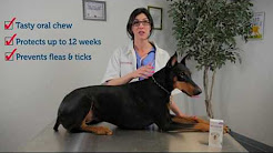 Bravecto: 12 weeks of flea & tick protection for your dog