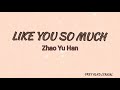 Like you so much - Zhao Yu Han ( Lyrical ) [ Brightest Star In The Sky ost ] Mp3 Song