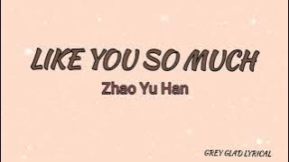 Like you so much - Zhao Yu Han ( Lyrical ) [ Brightest Star In The Sky ost ]