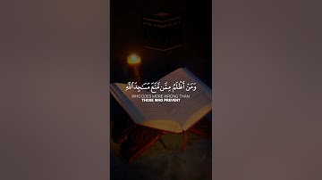 و من أظلم ممن منع مساجد الله #القرآن_الكريم #راحة_نفسية #ماهر_المعيقلي #تلاوات #quran #آيات #تجويد