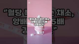 혈당 낮추려면 이 채소 드세요! 양배추보다 5배 좋습니다 #혈당관리 #청경채 #당뇨예방 #건강채소 #양배추보다5배좋은채소 #혈당낮추는음식 #건강정보 #40대건강 #중년건강