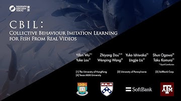 [SIGGRAPH ASIA 2024, ACM TOG] CBIL: Collective Behavior Imitation Learning for Fish from Real Videos