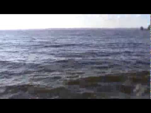 Ловля сома.Волга, Ульяновск - YouTube Ловля сома.Волга, Ульяновск - YouTube