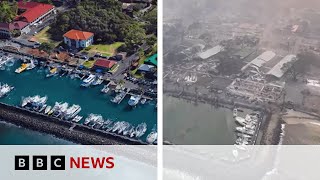 Famous Hawaii wildfires: Before and after footage shows extend of damage - BBC News Net Worth