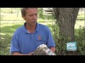SNN: Exploring Little Salt Springs